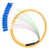 12 Core Distribution Pigtail